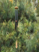 Large Wind Chimes: Your Ultimate Solution to Elevate Outdoor Ambience