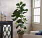 Stylish Artificial Trees for Effortless Greenery