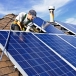 Pigeon pest Control Solar Panels