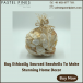 Buy Ethically Sourced Seashells To Make Stunning Home Decor