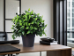 Freshen Up Your Home with Flowering Artificial Plants