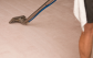 Perth’s Reliable Carpet Cleaners Ready to Restore Your Floors