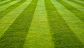 Artificial Turf Melbourne - Premium Synthetic Grass Solutions