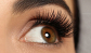 Affordable Individual Loose Lashes for Lash Professionals