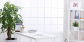 Revitalize Your Workspace with Office Plants Melbourne