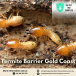 Effective Termite Barrier Solutions in Gold Coast