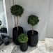 Install Artificial Plants to Elevate Your Brisbane Space with Instant Greenery