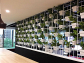 Premium Indoor Planters Melbourne – Stylish Green Solutions for Your Space 