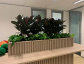 Office Plant Hire Melbourne – Create a Greener, Healthier Workspace 