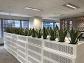 Corporate Plant Hire Melbourne – Elevate Your Office Environment 