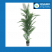 Brighten Your Walls With Artificial Plants at Wholesale in Melbourne