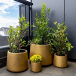 Bring Timeless Natural Beauty to Every Space with Artificial Bamboo Trees
