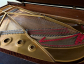 Explore Steinway and Sons Pianos in Australia: Why Settle for Less?