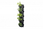 Want to Start Vertical Garden? Visit Us