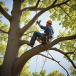 Cutting Edge Tree Maintenance
