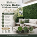 Lifelike Artificial Hedges Wholesale Across Australia at Great Prices 