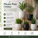 Plastic Pots Online That Complement Any Plant or Interior Style 