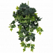 Long-Lasting Fake Hanging Plants Built for Australian Conditions