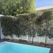 Get the Perfect Faux Olive Tree for Your Decor