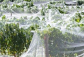 Protect Every Harvest With Reliable Crop Protection Netting