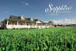 Choose Hardy Buffalo Turf Grown Right in Freemans Reach