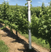 Eliminate Ongoing Maintenance with Heavy Duty Agriculture Fencing Today