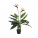Premium Artificial Plants Melbourne for Every Space 