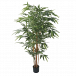 Artificial Plants Brisbane for Stylish Green Spaces 