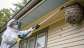 Wasp Removal Melbourne: What to Do When You Find a Nest