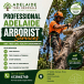 Professional Adelaide Arborist Services for Safe Tree Care