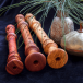 Build Strong Musical Skills with Recorder Tutors for Every Learning Stage  
