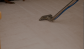 Expert Carpet Cleaners at Your Service in Perth 