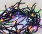 Bright Up Your Holidays with Real Christmas Trees - LED & Fairy Lights!