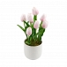 Stunning Range of Artificial Plants for Sydney Homes and Businesses