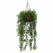 Create Everlasting Elegance With Artificial Hanging Plants